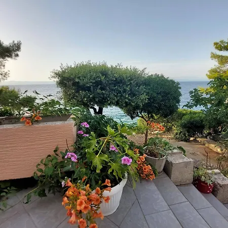 شقة Apartman Felicija Blato (Korcula)